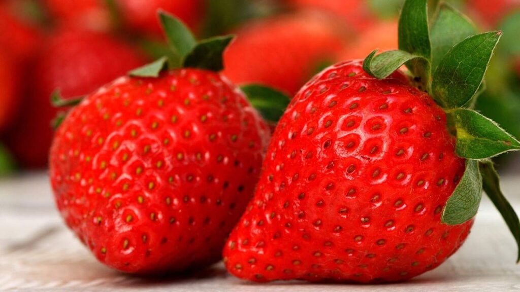 fruits for baby brain development during pregnancy