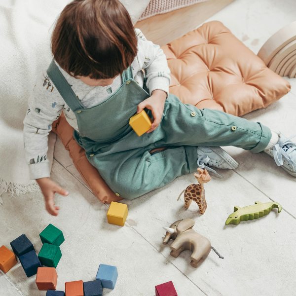 What are the Five Key Stages of Child Development