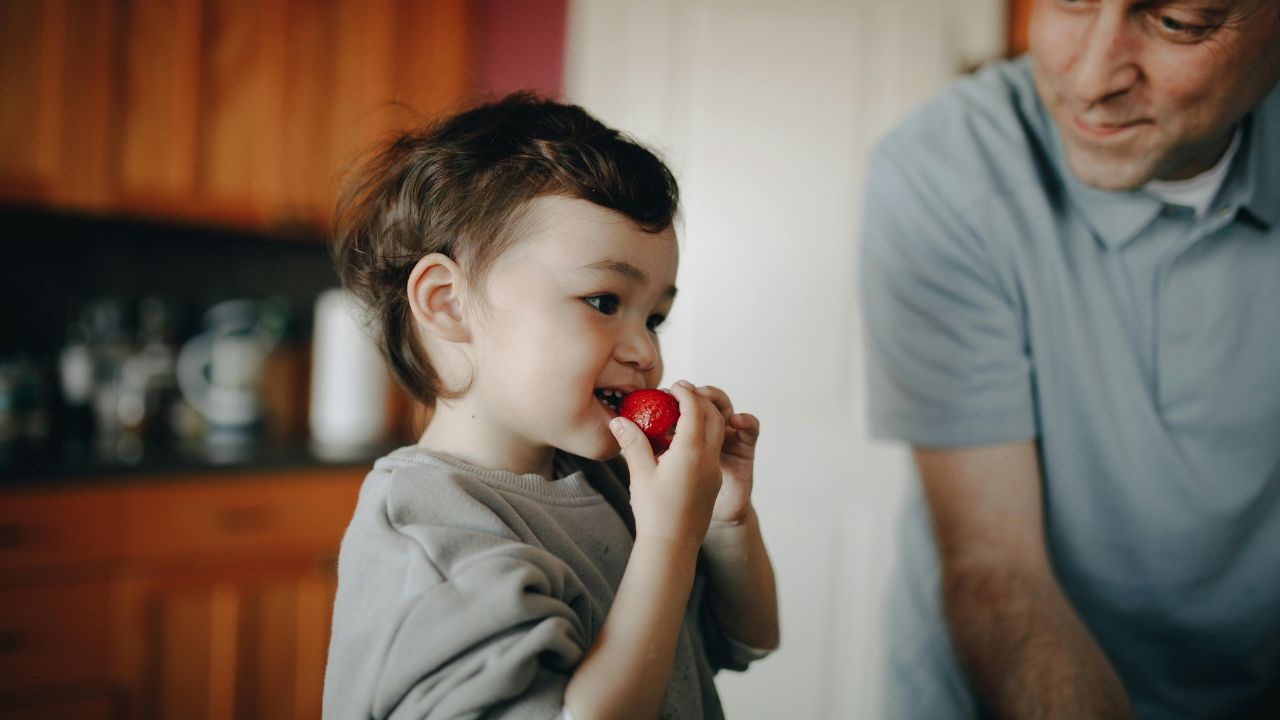 how can parents help in promoting the healthy eating habits of children | babyblinkup.com